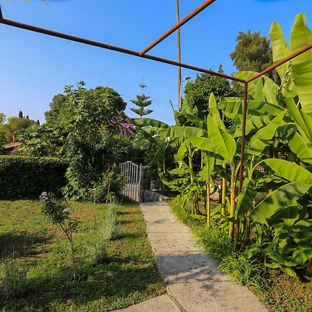 Smjestaj Djurdjevic Apartment Herceg Novi Ngoại thất bức ảnh