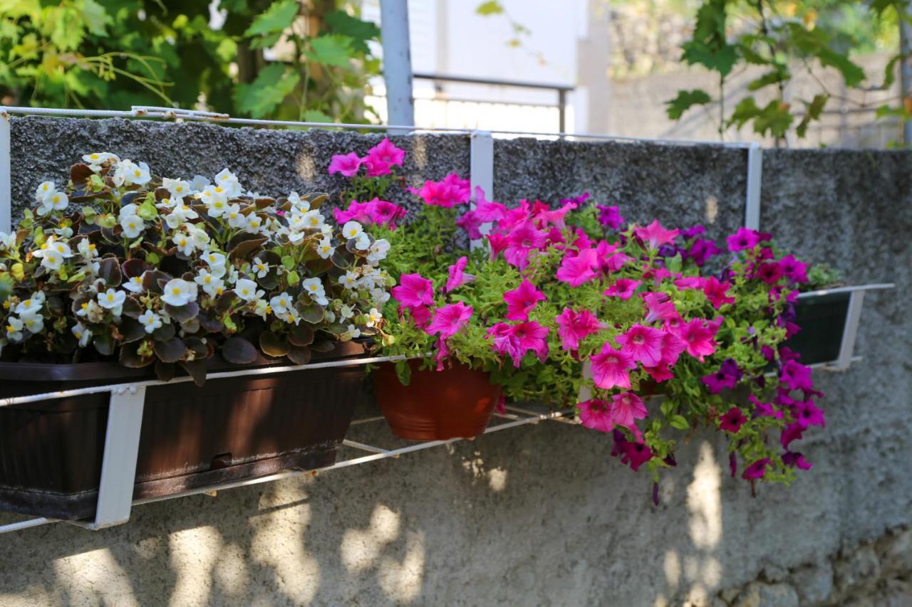 Smjestaj Djurdjevic Apartment Herceg Novi Ngoại thất bức ảnh